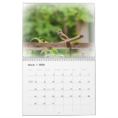 Kalender - Common Backyard Birds (Mar 2026)