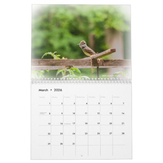 Kalender - Common Backyard Birds (Mar 2026)