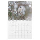 Kalender - Common Backyard Birds (Feb 2026)
