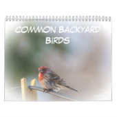 Kalender - Common Backyard Birds (Hoes)