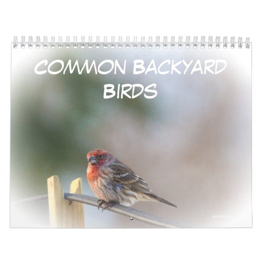 Kalender - Common Backyard Birds (Hoes)