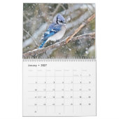 Kalender - Common Backyard Birds (Jan 2027)