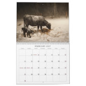 Kalender Cowtown Living 2013 (Feb 2027)