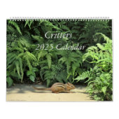 Kalender Critters 2025 (Hoes)
