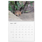 Kalender Critters 2025 (Mar 2027)