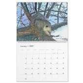 Kalender Critters 2025 (Jan 2027)