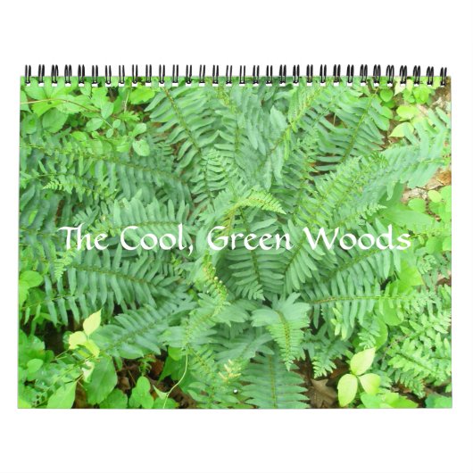 Kalender - De Bossen van de Koel, Groen (Hoes)