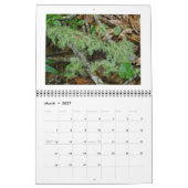 Kalender - De Bossen van de Koel, Groen (Mar 2027)