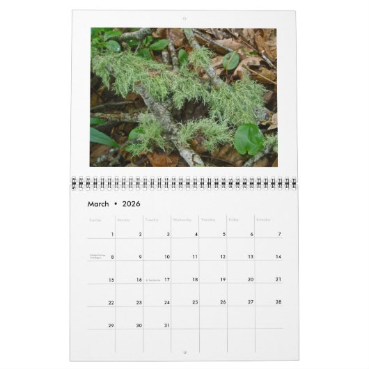 Kalender - De Bossen van de Koel, Groen (Mar 2026)