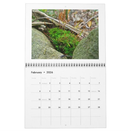 Kalender - De Bossen van de Koel, Groen (Feb 2026)