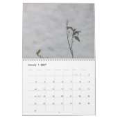 KALENDER De groei ongeacht (Jan 2027)