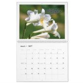 Kalender - De Heer geneest u van depressie. (Mar 2027)