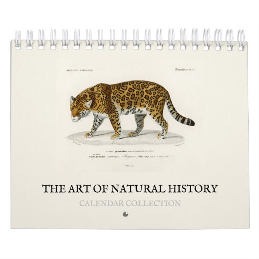 KALENDER : DE KUNST VAN NATUURLIJKE GESCHIEDENIS (Hoes)