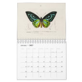 KALENDER : DE KUNST VAN NATUURLIJKE GESCHIEDENIS (Jan 2027)