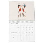 KALENDER : DE KUNST VAN NATUURLIJKE GESCHIEDENIS (Feb 2027)