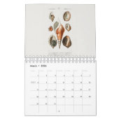 KALENDER : DE KUNST VAN NATUURLIJKE GESCHIEDENIS (Mar 2026)