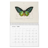 KALENDER : DE KUNST VAN NATUURLIJKE GESCHIEDENIS (Jan 2026)