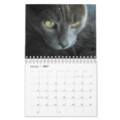 KALENDER "DE RUIMTE VAN DE VANGSTEN" (Jan 2027)