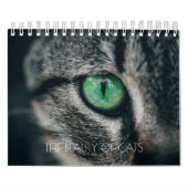 KALENDER "DE RUIMTE VAN DE VANGSTEN" (Hoes)