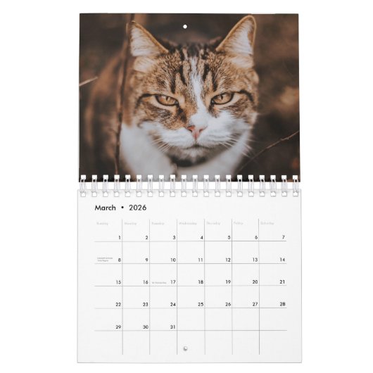 KALENDER "DE RUIMTE VAN DE VANGSTEN" (Mar 2026)