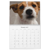 Kalender Dieren 2013 (Jan 2027)