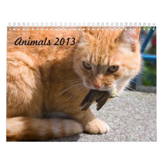 Kalender Dieren 2013 (Hoes)