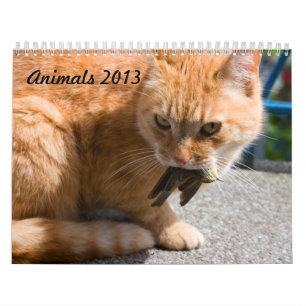 Kalender Dieren 2013
