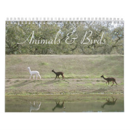 Kalender - Dieren en vogels