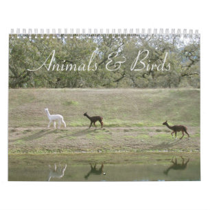 Kalender - Dieren en vogels