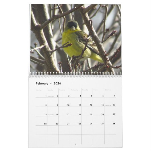 Kalender - Dieren en vogels (Feb 2026)