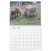 Kalender - Dieren en vogels (Jan 2027)