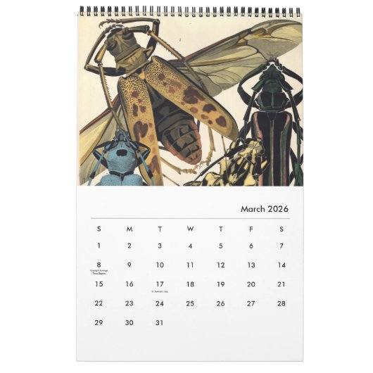 Kalender door Emile-Allain Seguy (Mar 2026)