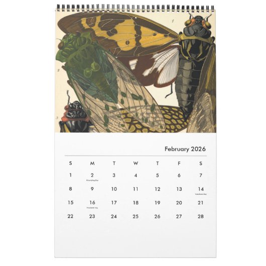Kalender door Emile-Allain Seguy (Feb 2026)