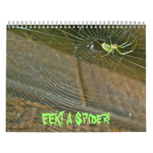 Kalender - EEK! Een spin.
