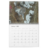 Kalender - Eekhoorns Chipmunks Groundhogs (Jan 2027)