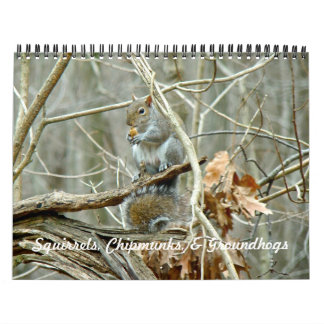 Kalender - Eekhoorns Chipmunks Groundhogs