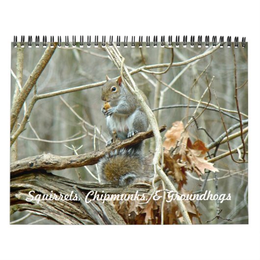 Kalender - Eekhoorns Chipmunks Groundhogs (Hoes)