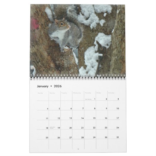 Kalender - Eekhoorns Chipmunks Groundhogs (Jan 2026)