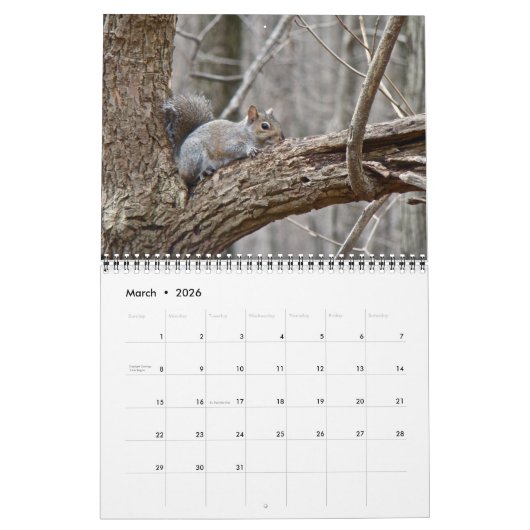 Kalender - Eekhoorns Chipmunks Groundhogs (Mar 2026)
