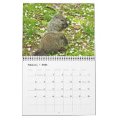 Kalender - Eekhoorns Chipmunks Groundhogs (Feb 2026)