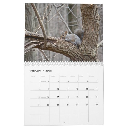 Kalender - Een jaar in het Bos (Feb 2026)