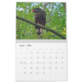 Kalender - Een jaar in het Bos (Mar 2027)