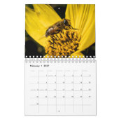 Kalender- en honingbijen kalender (Feb 2027)