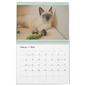 Kalender Engels en USA Schattige Mooie Katten (Feb 2026)