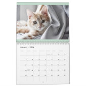 Kalender Engels en USA Schattige Mooie Katten (Jan 2026)