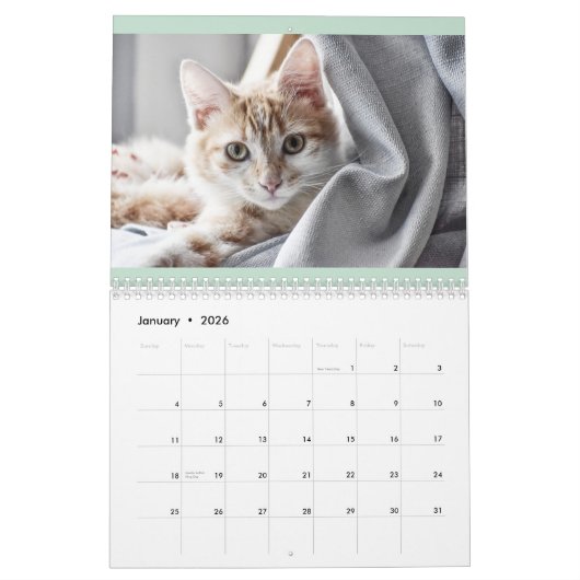 Kalender Engels en USA Schattige Mooie Katten (Jan 2026)