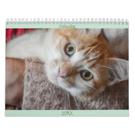 Kalender Engels en USA Schattige Mooie Katten