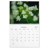 Kalender Fairyland 2010 (Feb 2027)