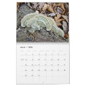 Kalender - Fantastische schimmels van het bos (Mar 2026)