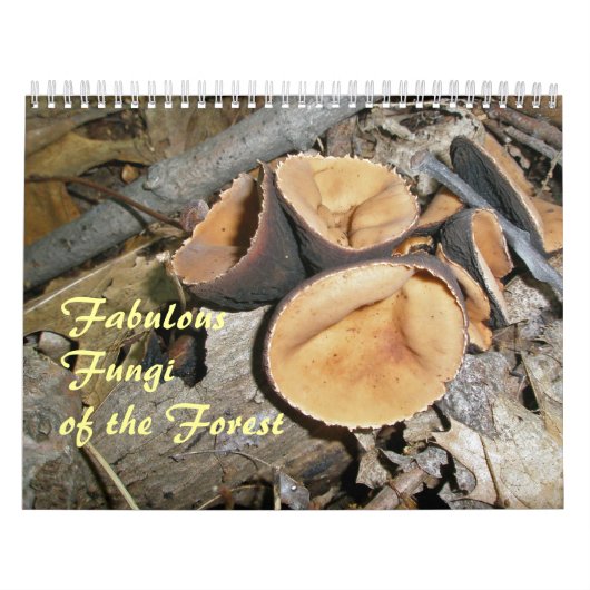 Kalender - Fantastische schimmels van het bos (Hoes)